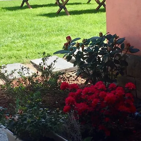 Casa Rosa 3*